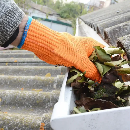 Gutter & Roof Cleaning