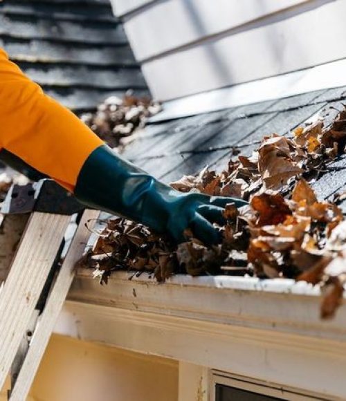 gutter cleaning